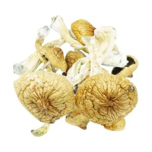 Blue Meanies Magic Mushroom 28g [Canada Warehouse]