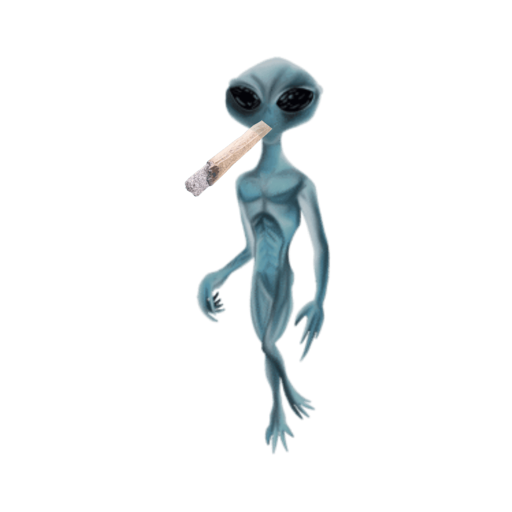 ALIEN_NIGGA